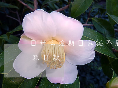 為什么逾期過后就不能貸款了 為什么逾期還能貸款
