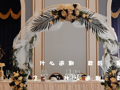 為什么逾期還款后還是上報(bào)征信了-為什么逾期還款后還是上報(bào)征信了呢