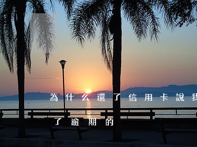 為什么還了信用卡,說我逾期了（信用卡逾期還了逾期的）