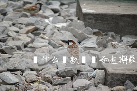 為什么還款還顯示逾期(最近還款日是逾期嗎)