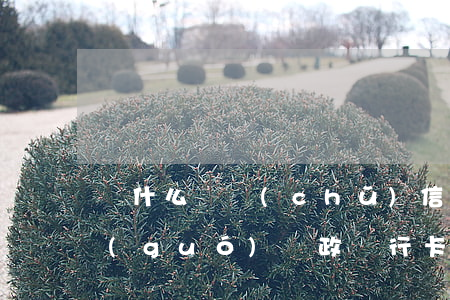 為什么郵儲(chǔ)信用卡不能透支(中國(guó)郵政銀行卡能透支嗎)