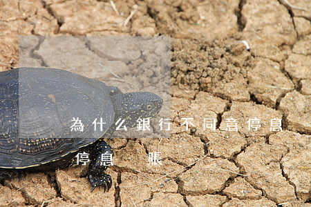 為什么銀行不同意停息掛賬(為什么銀行不給停息掛賬)