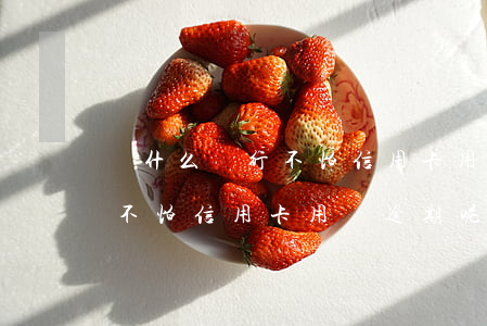 為什么銀行不怕信用卡用戶逾期 為什么銀行不怕信用卡用戶逾期呢