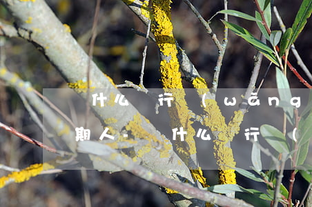為什么銀行網(wǎng)貸不輕易起訴逾期人-為什么銀行網(wǎng)貸不輕易起訴逾期人員