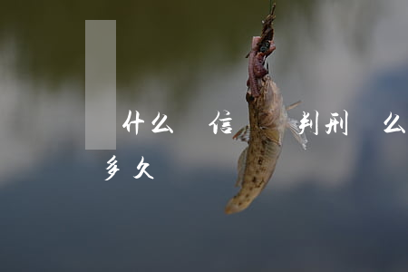 為什么電信詐騙判刑這么低(電信詐騙能判刑多久)