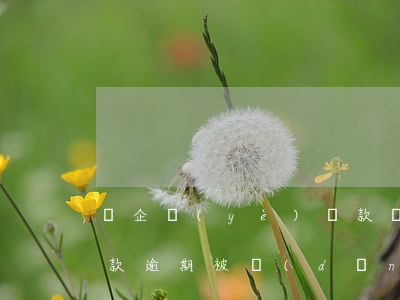 為企業(yè)貸款擔(dān)保逾期(貸款逾期被擔(dān)保公司起訴)