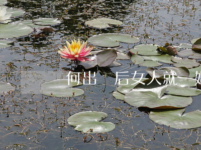 為何出軌后女人就離婚(女人出軌了會離婚嗎)
