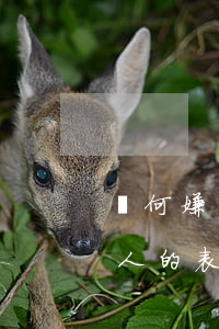 為何嫌貧愛富的離婚女不能要(嫌貧愛富的女人的表現(xiàn))