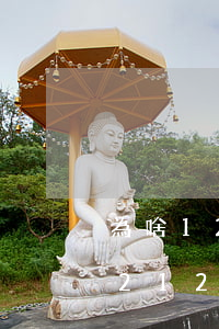 為啥12123顯示逾期怎么撤銷-為啥12123顯示逾期怎么撤銷呢