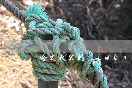 為啥丈夫欠的網(wǎng)貸催債打老婆電話