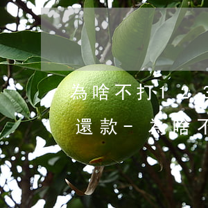 為啥不打12378不同意協(xié)商還款-為啥不打12378不同意協(xié)商還款呢