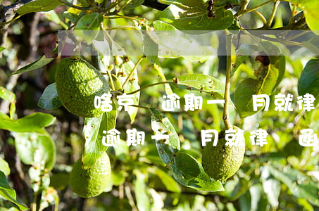 為啥京東逾期一個月就律師函了啊-為啥京東逾期一個月就律師函了啊怎么回事