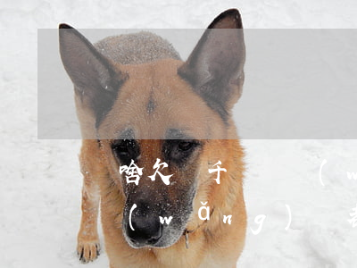 為啥欠幾千塊錢網(wǎng)貸平臺(你們網(wǎng)貸都欠了多少錢)