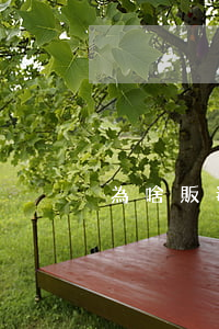 為啥販毒要半年以后才判(販毒會被判多久)