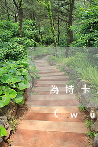 為持卡人提供的免息分期付款業(yè)務(wù)有-為持卡人提供的免息分期付款業(yè)務(wù)有哪些