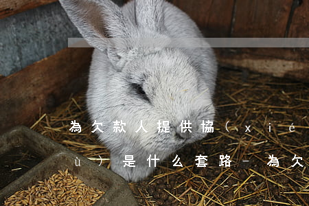 為欠款人提供協(xié)商還款服務(wù)是什么套路?-為欠款人提供協(xié)商還款服務(wù)是什么套路呢