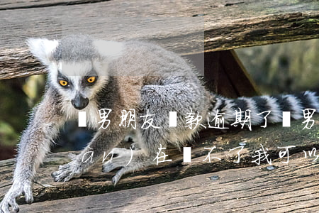為男朋友貸款逾期了(幫男朋友貸款現(xiàn)在還不了我可以報(bào)警嗎)