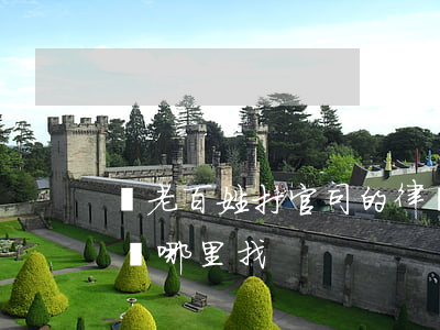 為老百姓打官司的律師(為老百姓打官司的律師哪里找)