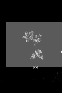 為軍隊(duì)培養(yǎng)干部意向書