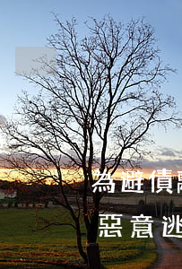 為避債離婚構(gòu)成詐騙嗎(故意離婚惡意逃債)