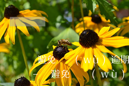 為避免債務(wù)逾期影響孩子提前離婚-為避免債務(wù)逾期影響孩子提前離婚怎么辦