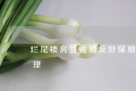 烂尾楼房贷逾期反担保(期房烂尾贷款怎么处理)
