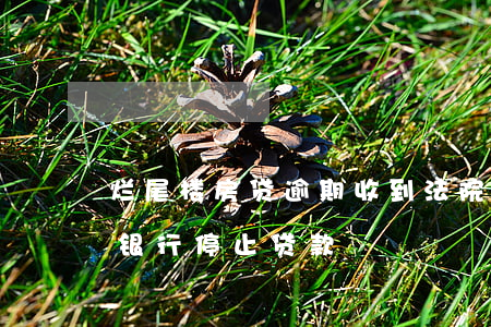 烂尾楼房贷逾期收到法院传票(房子烂尾起诉银行停止贷款)