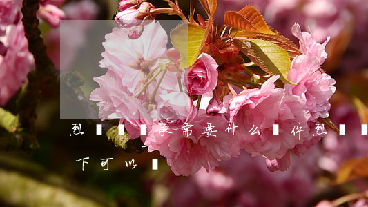 烈屬證繼承需要什么條件(烈屬證在什么條件下可以辦)