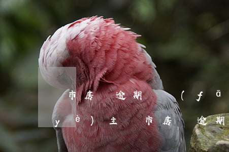 烏市房貸逾期開發(fā)商墊付起訴業(yè)主（烏市房貸逾期開發(fā)商墊付起訴業(yè)主）