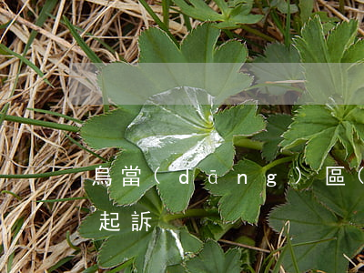 烏當(dāng)區(qū)合同糾紛怎么起訴