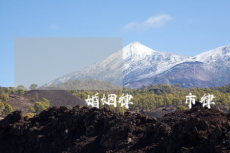 烏蘇婚姻律師(烏蘇市律師事務(wù)所電話)