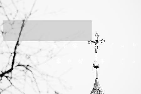烏蘭察布律師事務(wù)所排名(內(nèi)蒙古律師事務(wù)所排名)