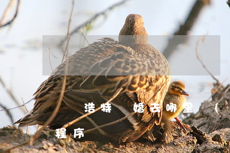 烏蘭浩特離婚去哪里(內(nèi)蒙古離婚程序)