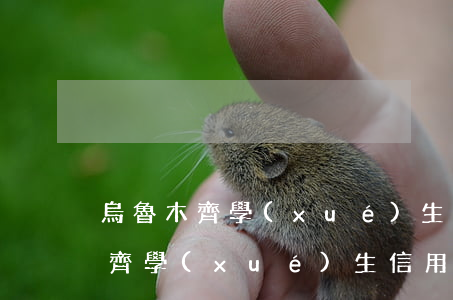 烏魯木齊學(xué)生信用卡逾期(烏魯木齊學(xué)生信用卡逾期會怎么樣)