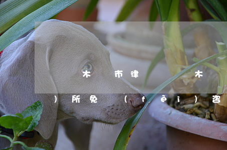 烏魯木齊市律師(烏魯木齊市律師事務(wù)所免費(fèi)咨詢電話)