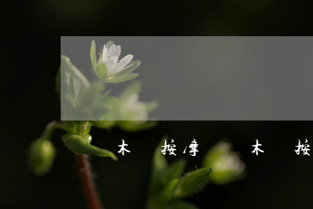 烏魯木齊按摩(烏魯木齊按摩椅在哪買)