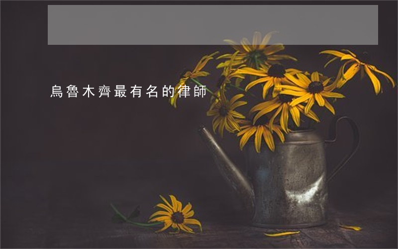 烏魯木齊最有名的律師