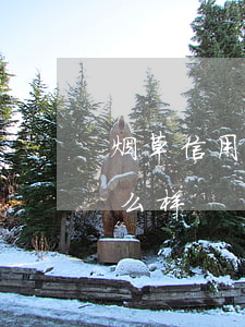 烟草信用卡逾期后果(烟草信用卡逾期后果怎么样)