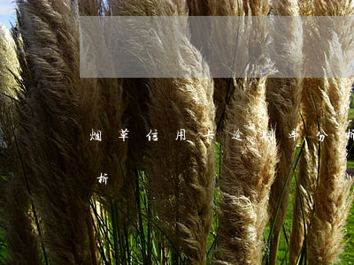 烟草信用卡逾期率分析(烟草信用卡逾期率分析)