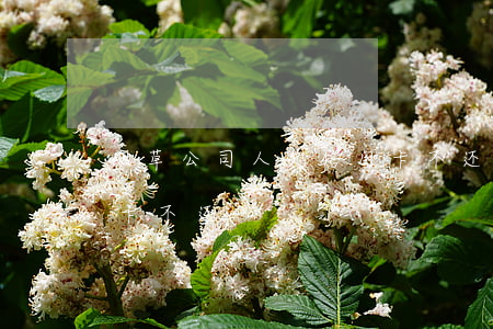 烟草公司人欠信用卡不还(烟草公司人欠信用卡不还)