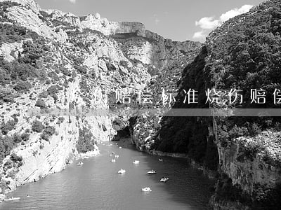 烧伤赔偿标准(烧伤赔偿标准2021)