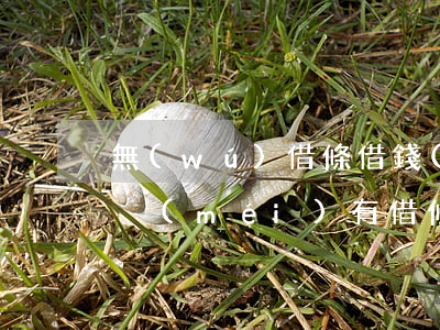 無(wú)借條借錢(qián)糾紛起訴(沒(méi)有借條被起訴怎么抗辯)