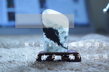 無(wú)力償還信用卡怎么與銀行協(xié)商-還不上信用卡怎么和銀行協(xié)商