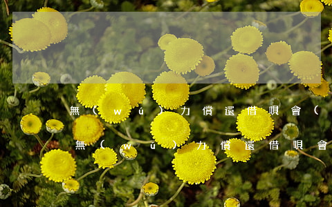 無(wú)力償還借唄會(huì)怎樣-無(wú)力償還借唄會(huì)怎樣