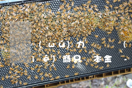 無(wú)力償還債務(wù)可以協(xié)商只還本金嗎-無(wú)力償還債務(wù)可以申請(qǐng)只還本金嗎