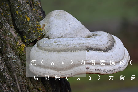 無(wú)力償還債務(wù)拘留15天后仍無(wú)力償還還會(huì)-無(wú)力償還債務(wù)拘留15天后仍無(wú)力償還還會(huì)拘留嗎