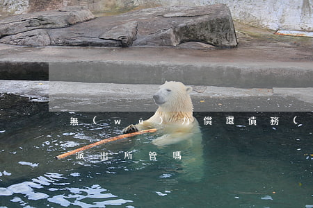 無(wú)力償還債務(wù)派出所(欠款派出所管嗎)