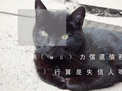 無(wú)力償還債務(wù)被執(zhí)行算是失信人嗎?-無(wú)力償還債務(wù)被執(zhí)行算是失信人嗎知乎
