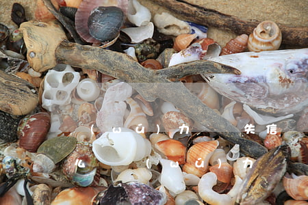 無(wú)力償還失信執(zhí)行人怎么辦（無(wú)力償還失信執(zhí)行人）