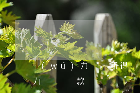 無(wú)力償還所得稅(公司無(wú)能力償還稅款)